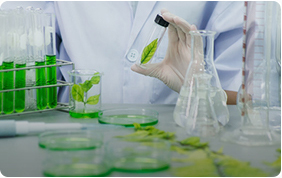 Wide range of products