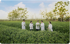 Area of clean medicinal herbs and modern production technology