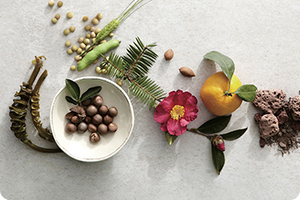 Ypharco - Pioneer of healthy living