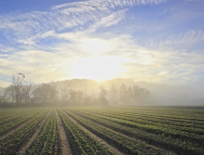 Yen Bai Pharmacy Owns a solid foundation with a team of highly qualified and experienced pharmacists