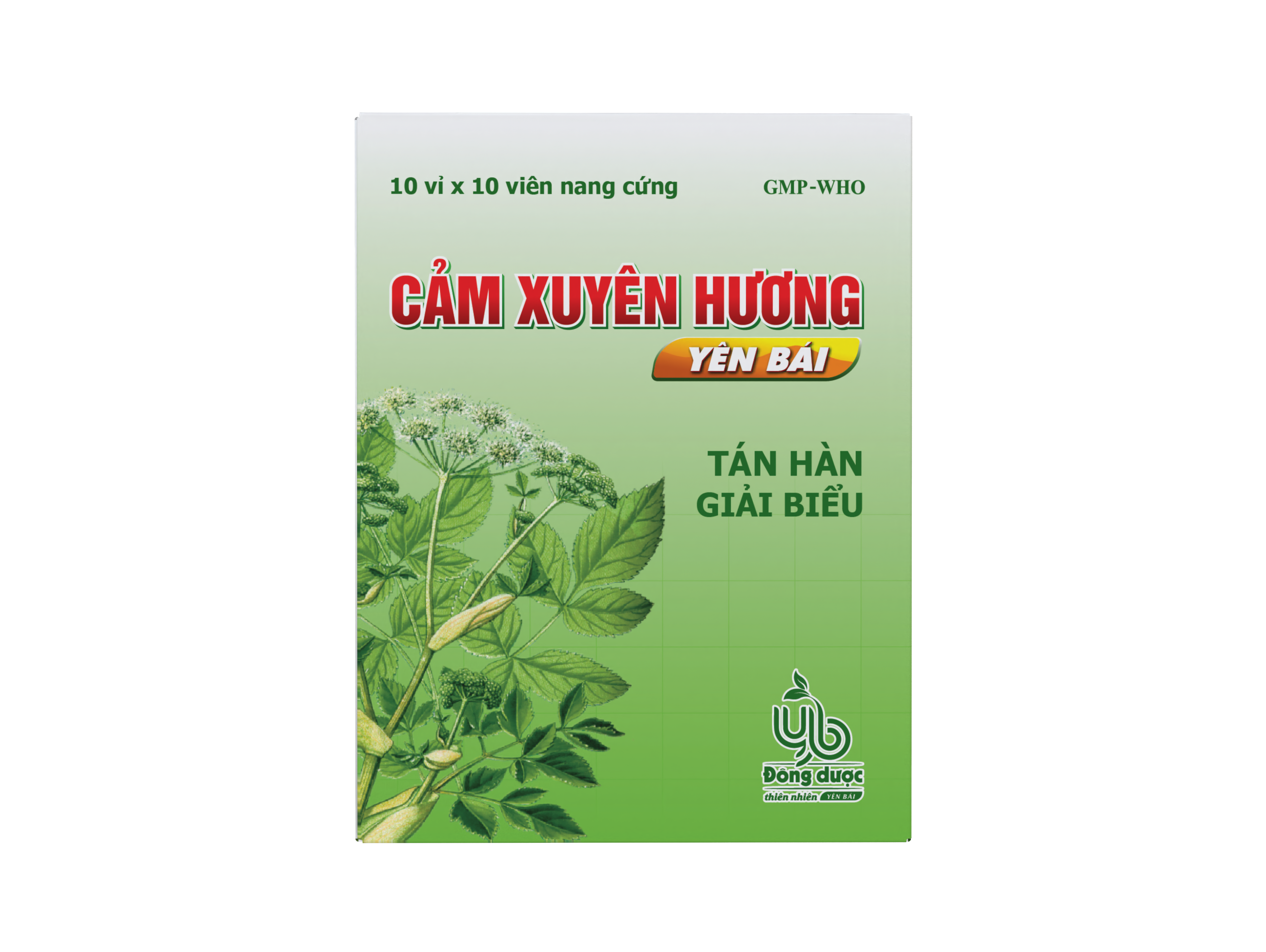 CẢM XUYÊN HƯƠNG YÊN BÁI