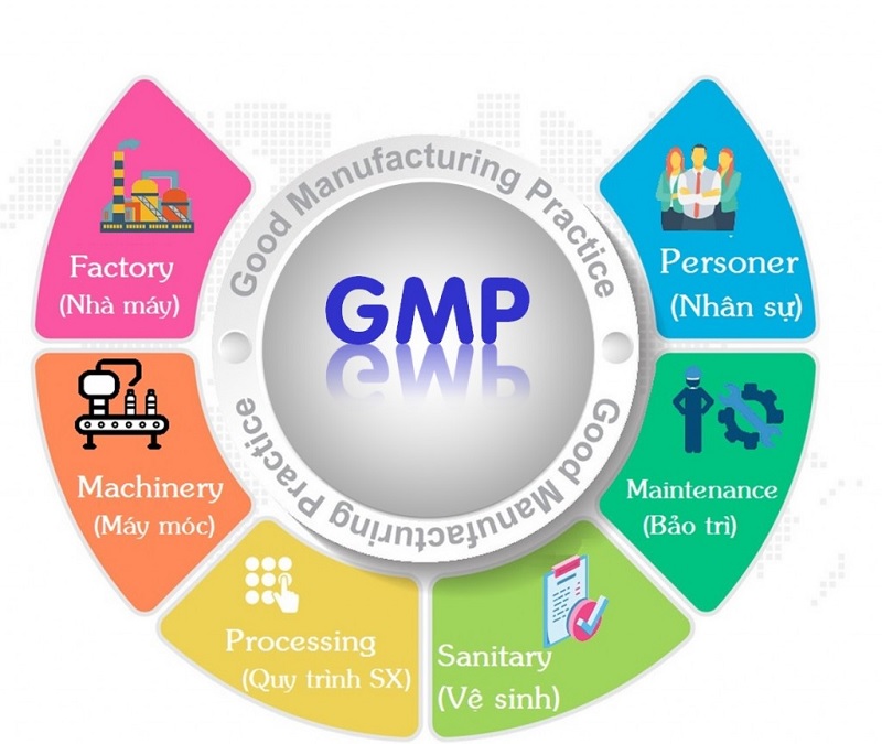 GMP Là gì GMP Là gì